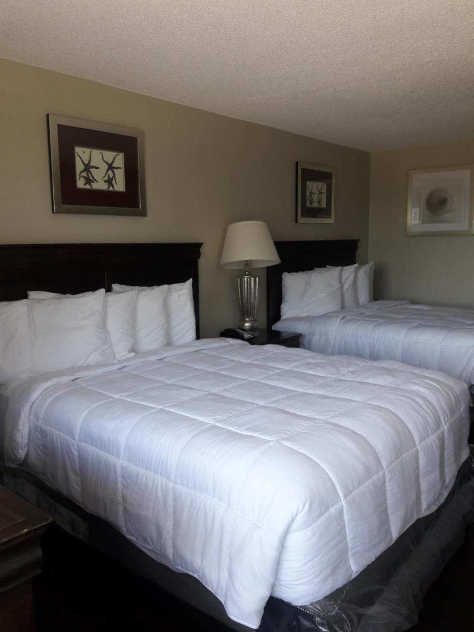 Ocean Waves Hotel Myrtle Beach Dış mekan fotoğraf